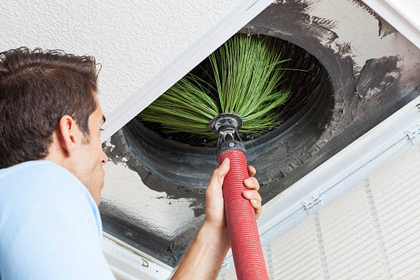 Best Home Air Vent Cleaning  in Sulligent, AL